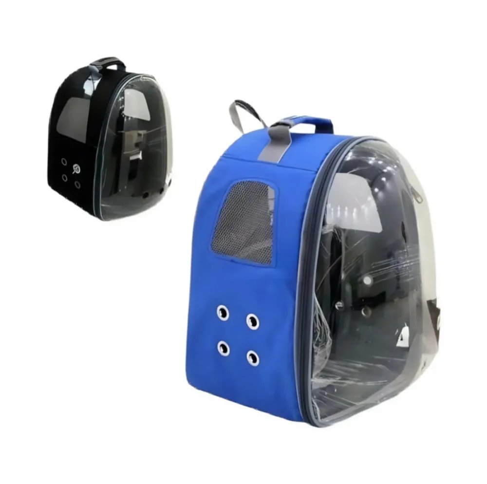 کوله اقتصادی آبی